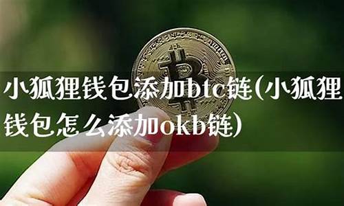 小狐狸钱包添加btc代币怎么弄(小狐狸钱包添加usdt)(图1)